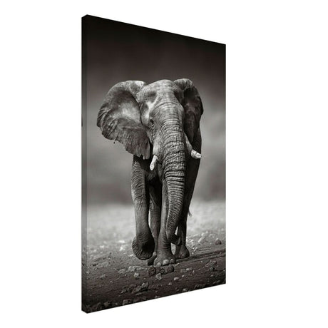 Animal Kingdom Wall art print collection | Elephant - Canvas - 60x90 cm / 24x36″ - Thick