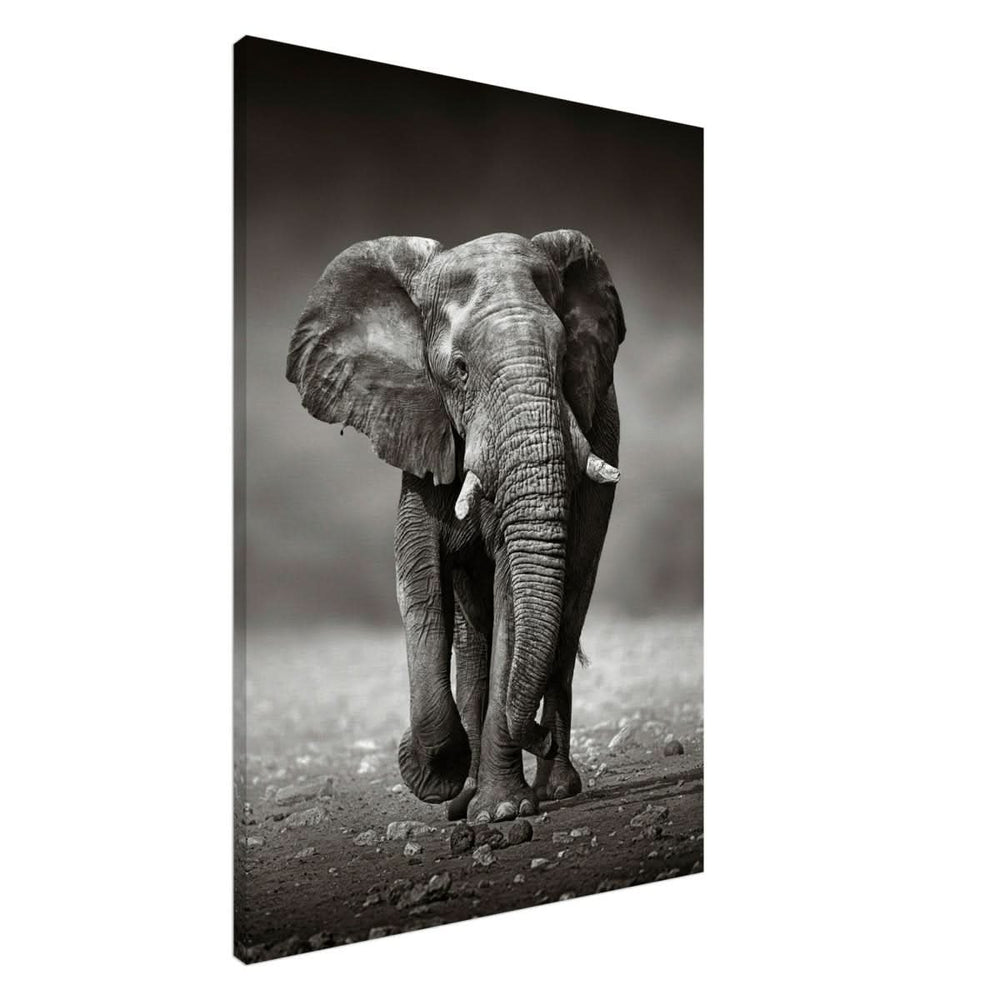 Animal Kingdom Wall art print collection | Elephant - Canvas - 70x100 cm / 28x40″ - Slim