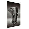 Animal Kingdom Wall art print collection | Elephant - Canvas - 70x100 cm / 28x40″ - Slim