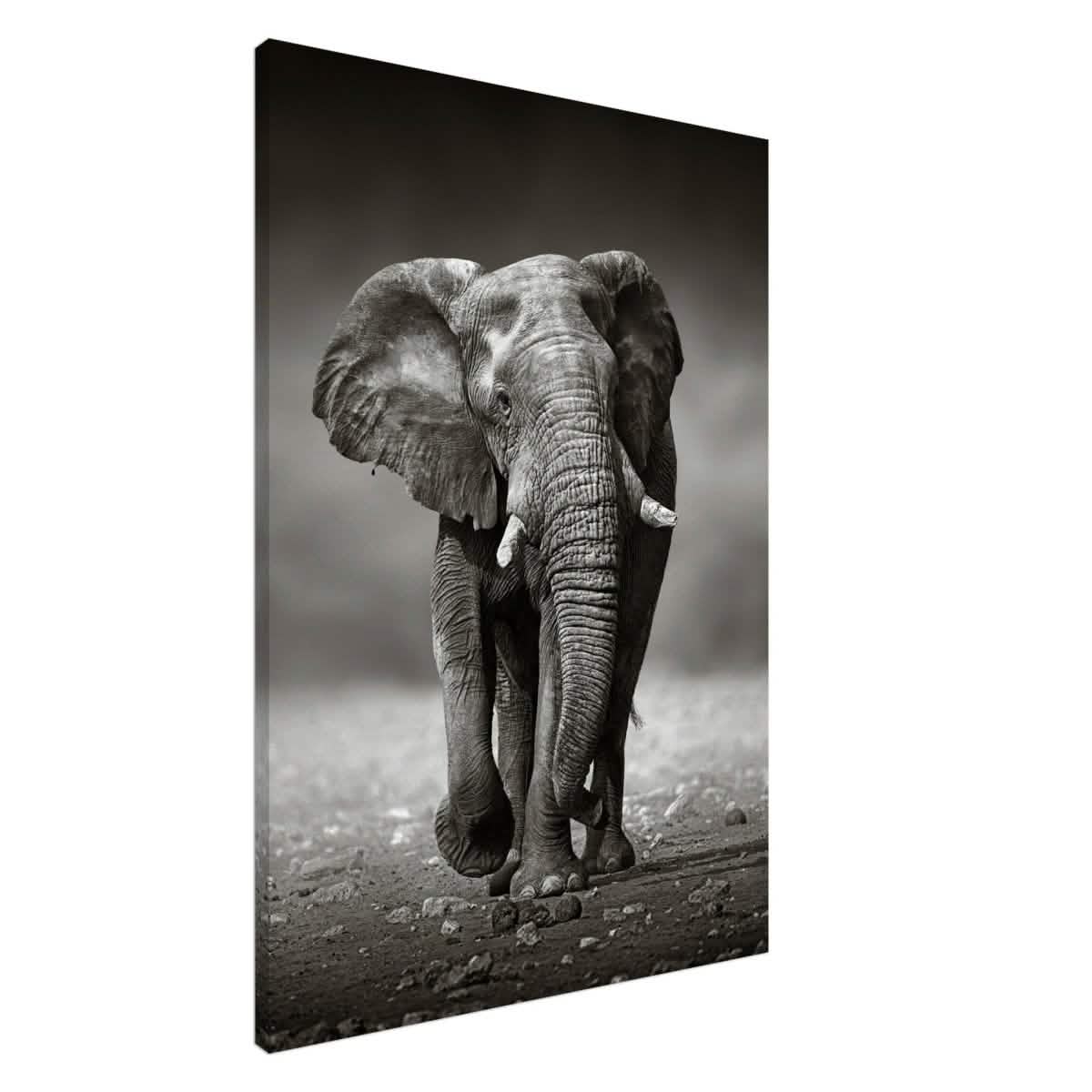 Animal Kingdom Wall art print collection | Elephant - Canvas - 70x100 cm / 28x40″ - Slim