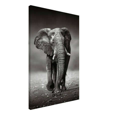 Animal Kingdom Wall art print collection | Elephant - Canvas - 50x75 cm / 20x30″ - Slim