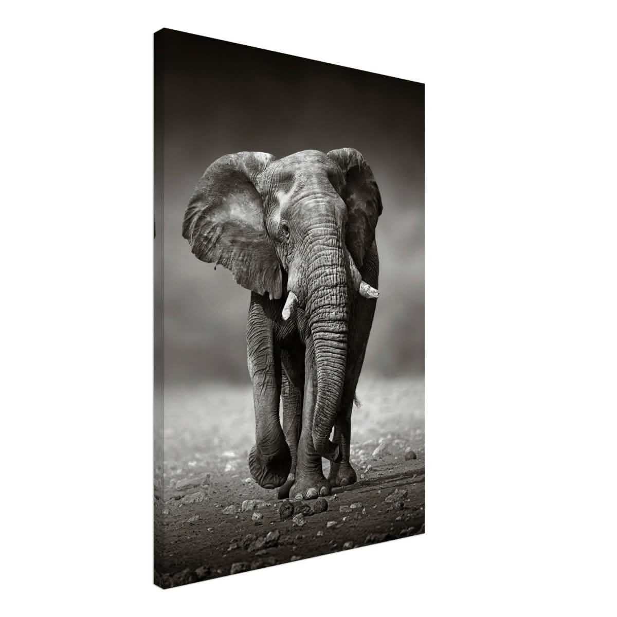 Animal Kingdom Wall art print collection | Elephant - Canvas - 50x75 cm / 20x30″ - Slim