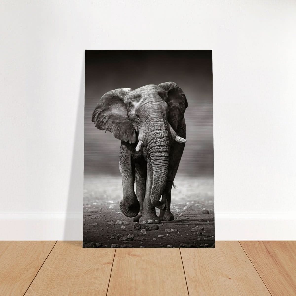 Animal Kingdom Wall art print collection | Elephant - Brushed Aluminum Print - 40x60 cm / 16x24″ -