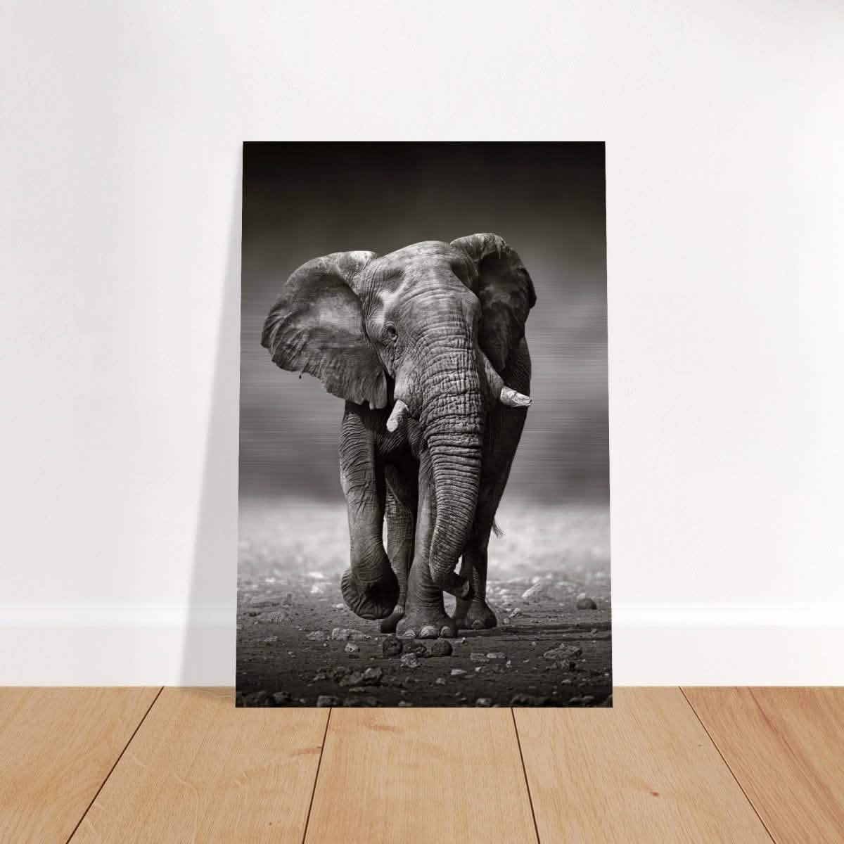 Animal Kingdom Wall art print collection | Elephant - Brushed Aluminum Print - 40x60 cm / 16x24″ -