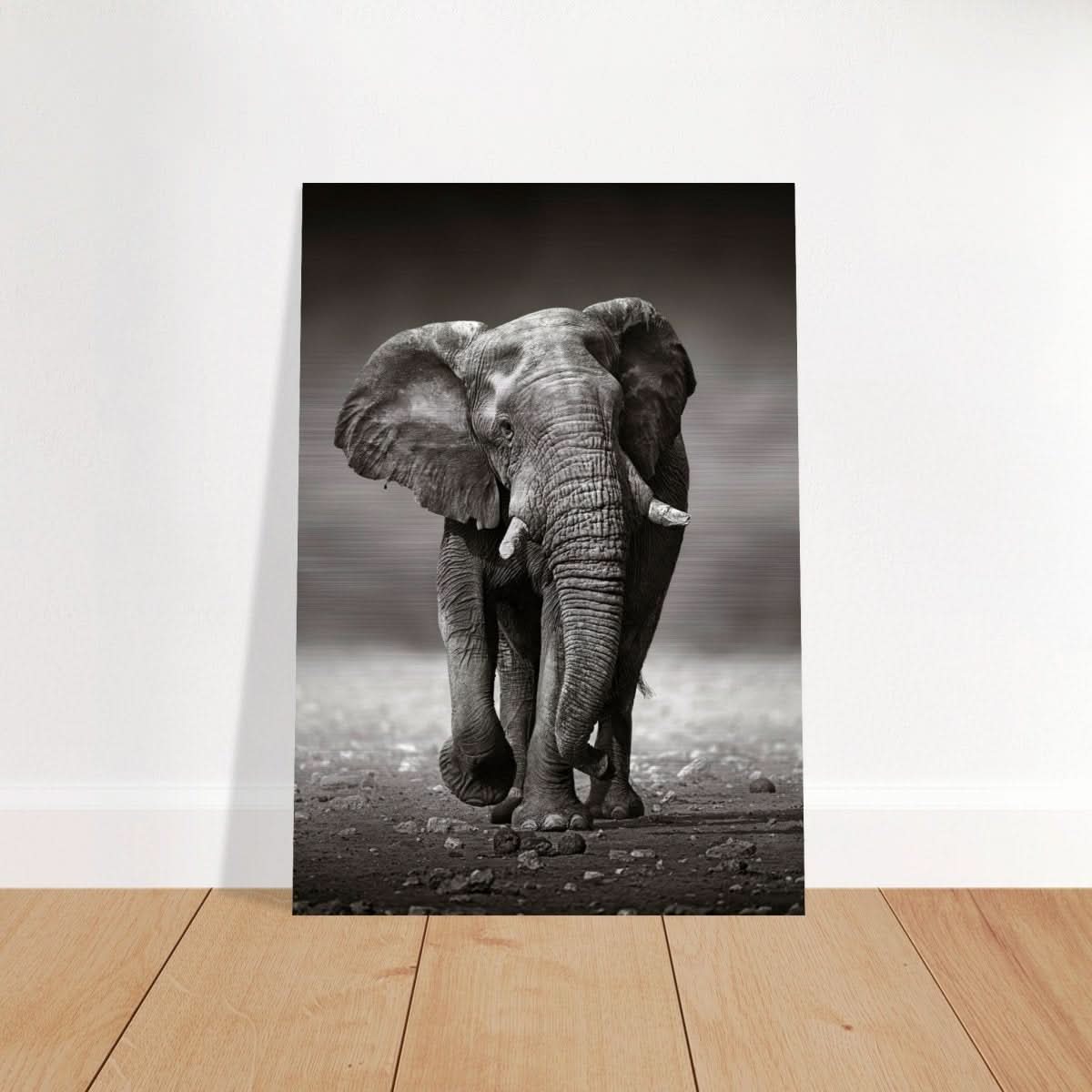 Animal Kingdom Wall art print collection | Elephant - Brushed Aluminum Print - 70x100 cm / 28x40″ -