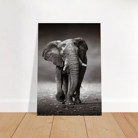 Animal Kingdom Wall art print collection | Elephant - Brushed Aluminum Print - 70x100 cm / 28x40″ -
