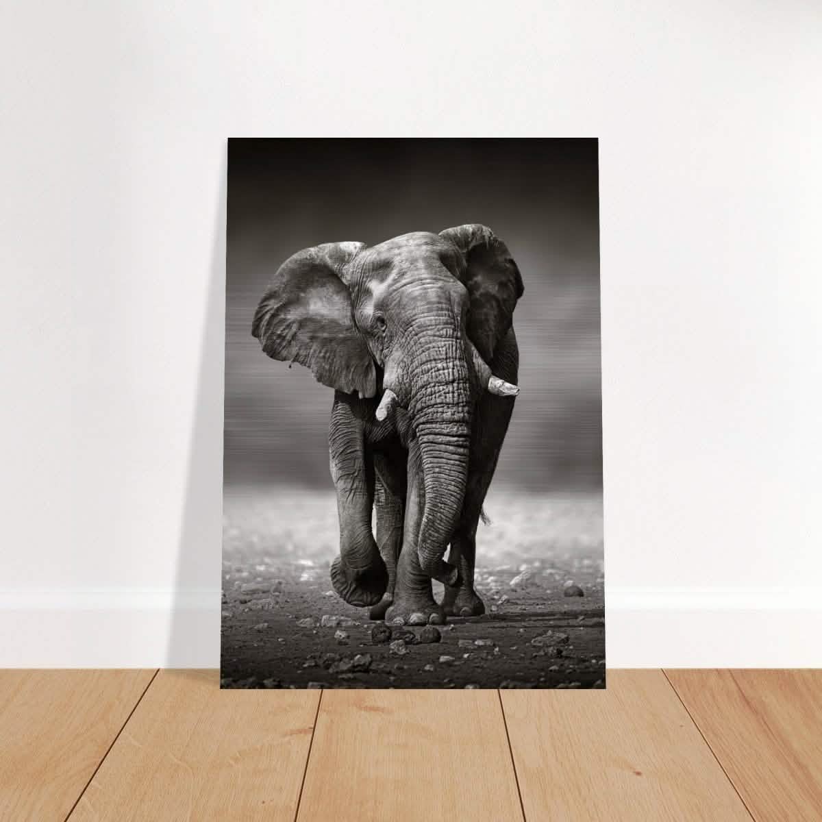 Animal Kingdom Wall art print collection | Elephant - Brushed Aluminum Print - 70x100 cm / 28x40″ -