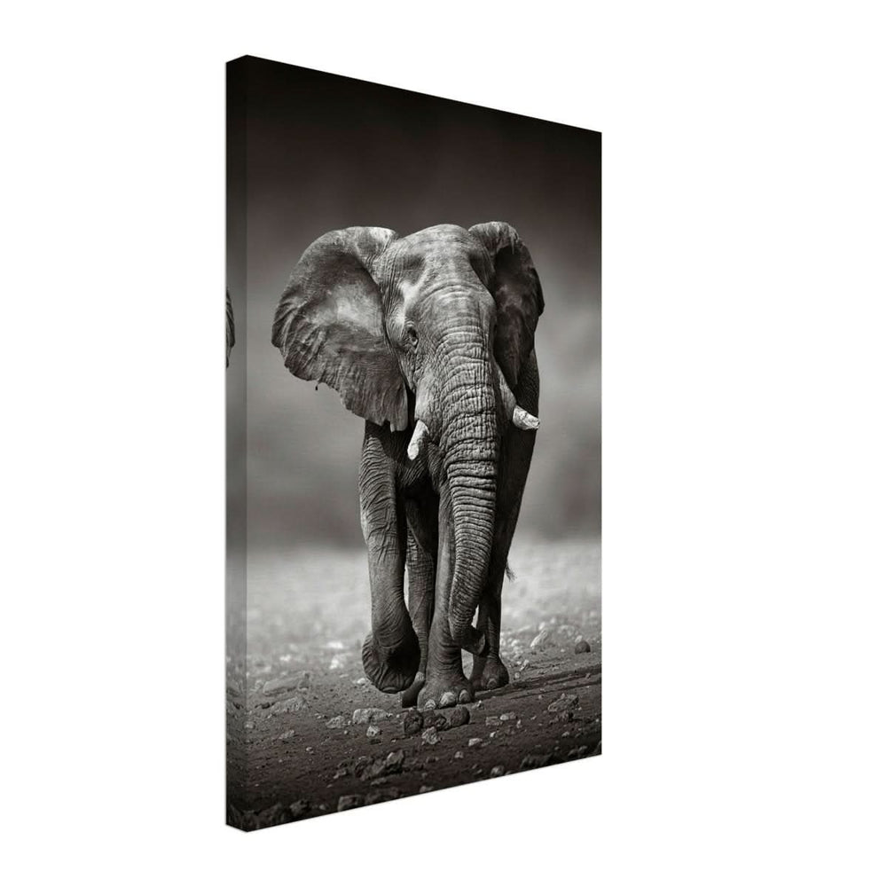 Animal Kingdom Wall art print collection | Elephant - Canvas - 40x60 cm / 16x24″ - Thick