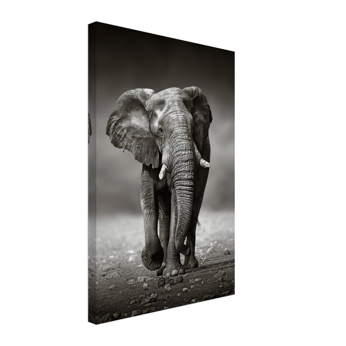 Animal Kingdom Wall art print collection | Elephant - Canvas - 40x60 cm / 16x24″ - Thick