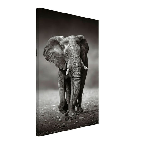 Animal Kingdom Wall art print collection | Elephant - Canvas - 50x75 cm / 20x30″ - Thick