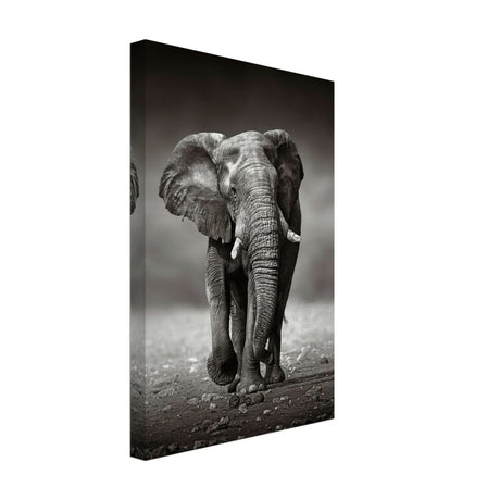 Animal Kingdom Wall art print collection | Elephant - Canvas - 30x45 cm / 12x18″ - Thick