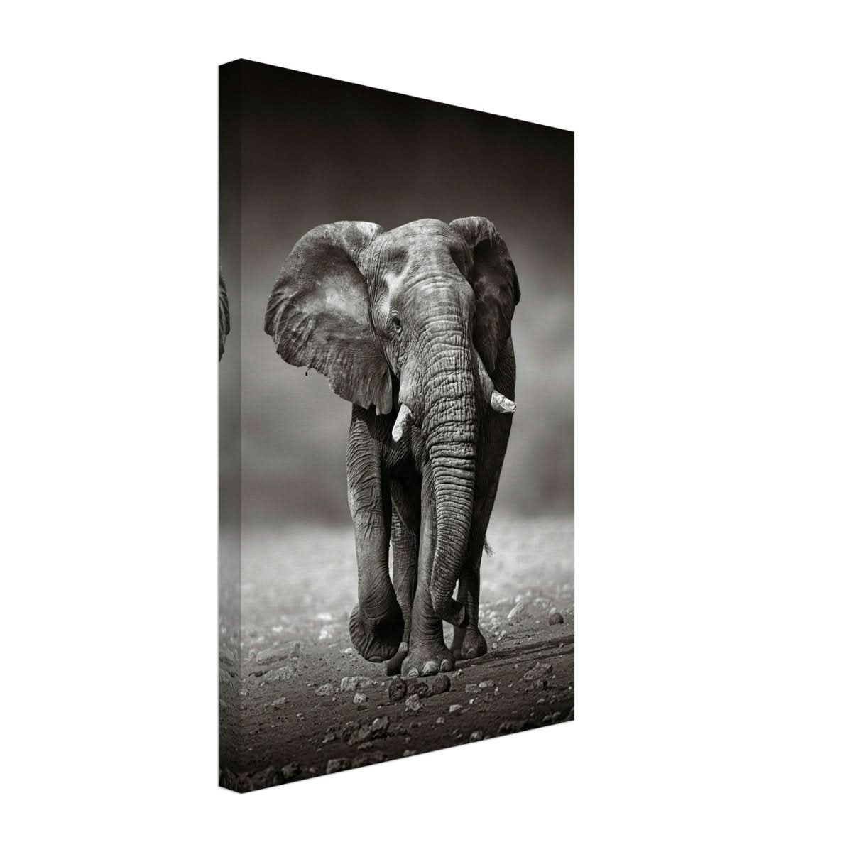 Animal Kingdom Wall art print collection | Elephant - Canvas - 30x45 cm / 12x18″ - Slim