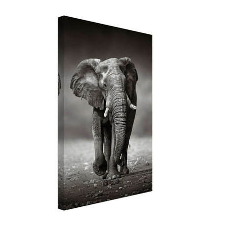 Animal Kingdom Wall art print collection | Elephant - Canvas - 30x45 cm / 12x18″ - Slim
