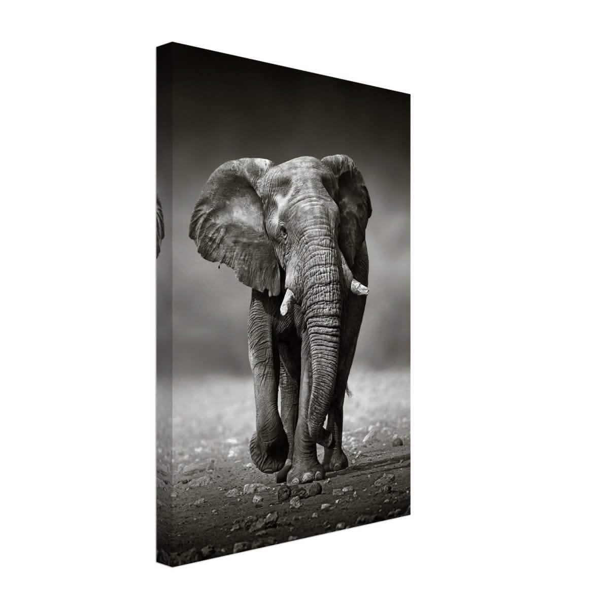 Animal Kingdom Wall art print collection | Elephant - Canvas - 30x45 cm / 12x18″ - Slim