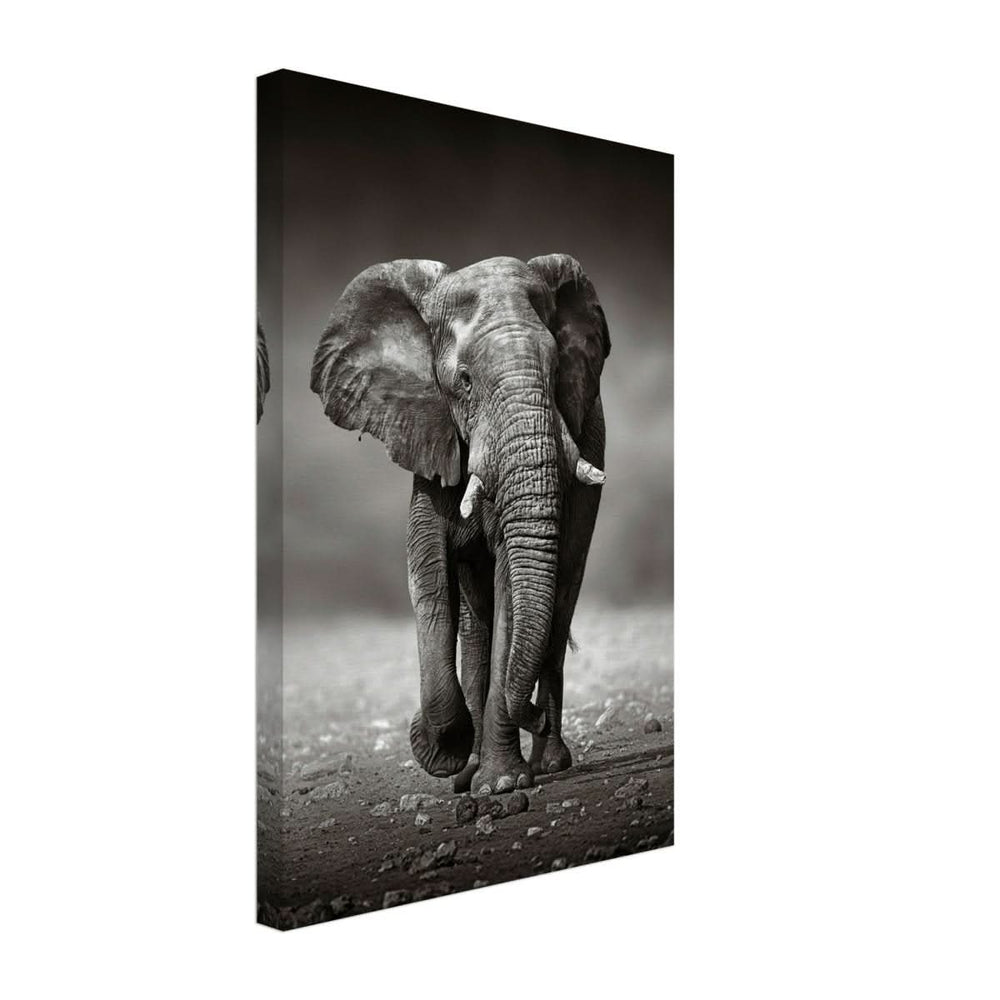 Animal Kingdom Wall art print collection | Elephant - Canvas - 30x45 cm / 12x18″ - Slim