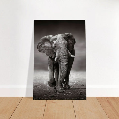 Animal Kingdom Wall art print collection | Elephant - Brushed Aluminum Print - 50x75 cm / 20x30″ -
