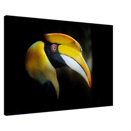 Animal Kingdom Wall art print collection | Great Indian Hornbill - Canvas - 60x90 cm / 24x36″ - Slim