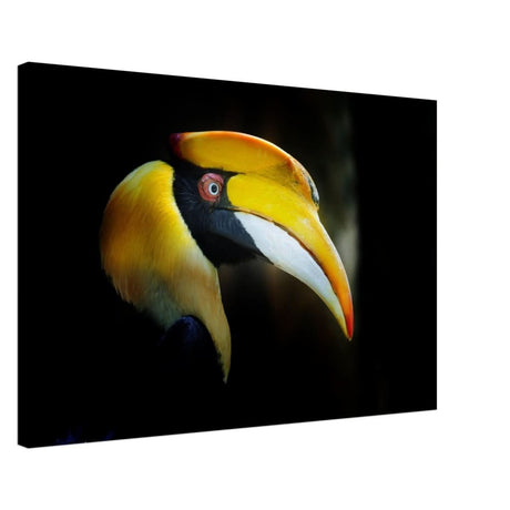 Animal Kingdom Wall art print collection | Great Indian Hornbill - Canvas - 60x90 cm / 24x36″ - Thick