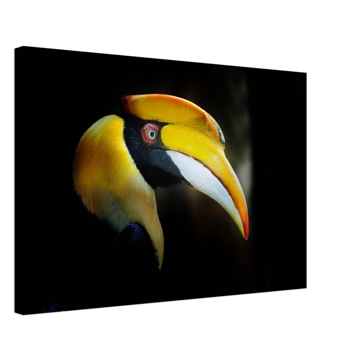 Animal Kingdom Wall art print collection | Great Indian Hornbill - Canvas - 50x75 cm / 20x30″ - Thick