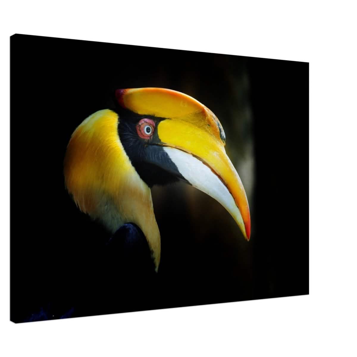 Animal Kingdom Wall art print collection | Great Indian Hornbill - Canvas - 70x100 cm / 28x40″ - Slim