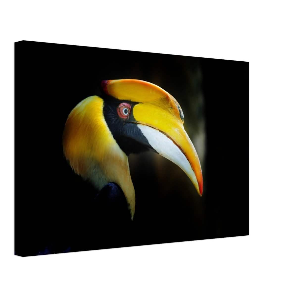 Animal Kingdom Wall art print collection | Great Indian Hornbill - Canvas - 40x60 cm / 16x24″ - Thick