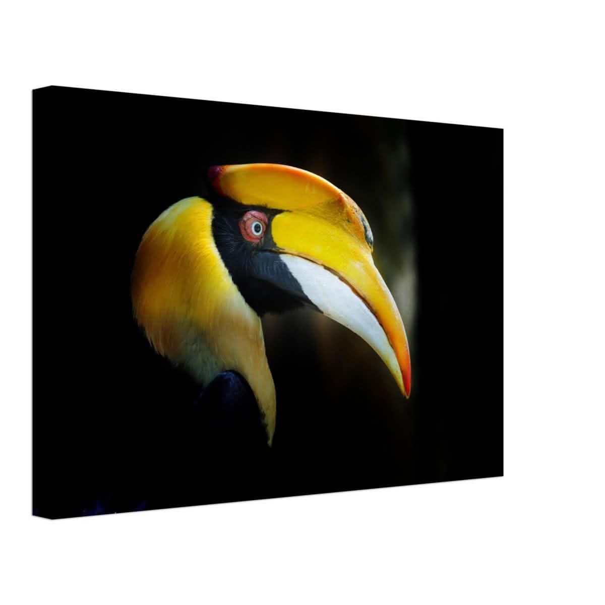Animal Kingdom Wall art print collection | Great Indian Hornbill - Canvas - 30x45 cm / 12x18″ - Slim