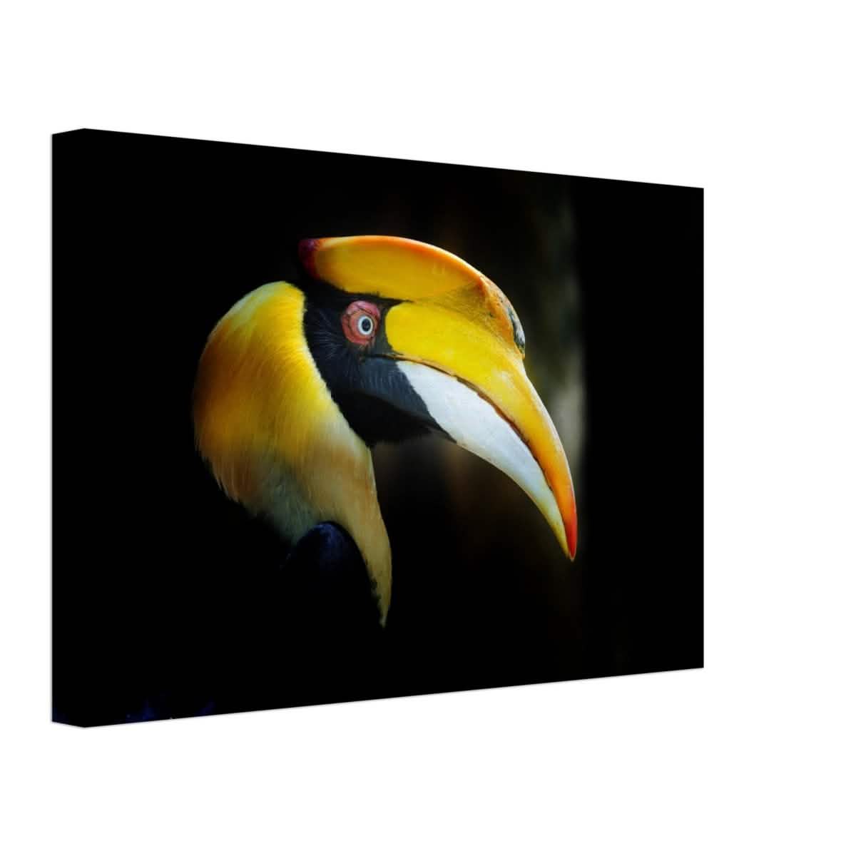 Animal Kingdom Wall art print collection | Great Indian Hornbill - Canvas - 30x45 cm / 12x18″ - Thick