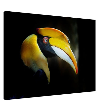 Animal Kingdom Wall art print collection | Great Indian Hornbill - Canvas - 70x100 cm / 28x40″ - Thick