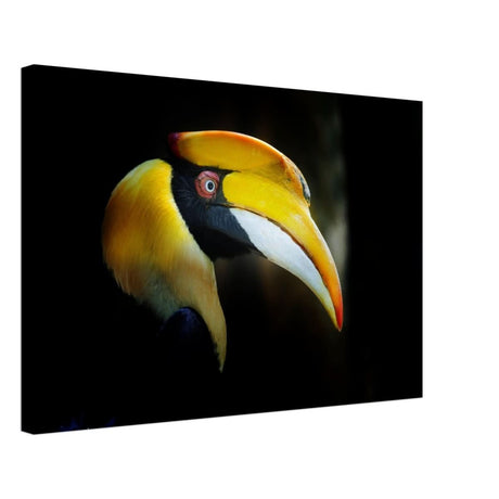 Animal Kingdom Wall art print collection | Great Indian Hornbill - Canvas - 40x60 cm / 16x24″ - Slim