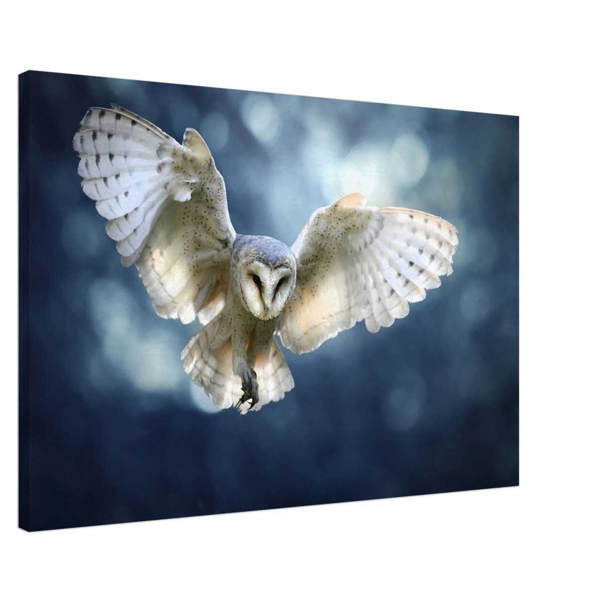 Animal Kingdom Wall art print collection | Owl - Canvas - 60x90 cm / 24x36″ -