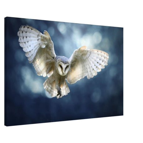 Animal Kingdom Wall art print collection | Owl - Canvas - 60x90 cm / 24x36″ -