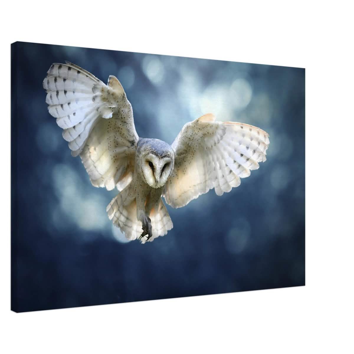 Animal Kingdom Wall art print collection | Owl - Canvas - 60x90 cm / 24x36″ -