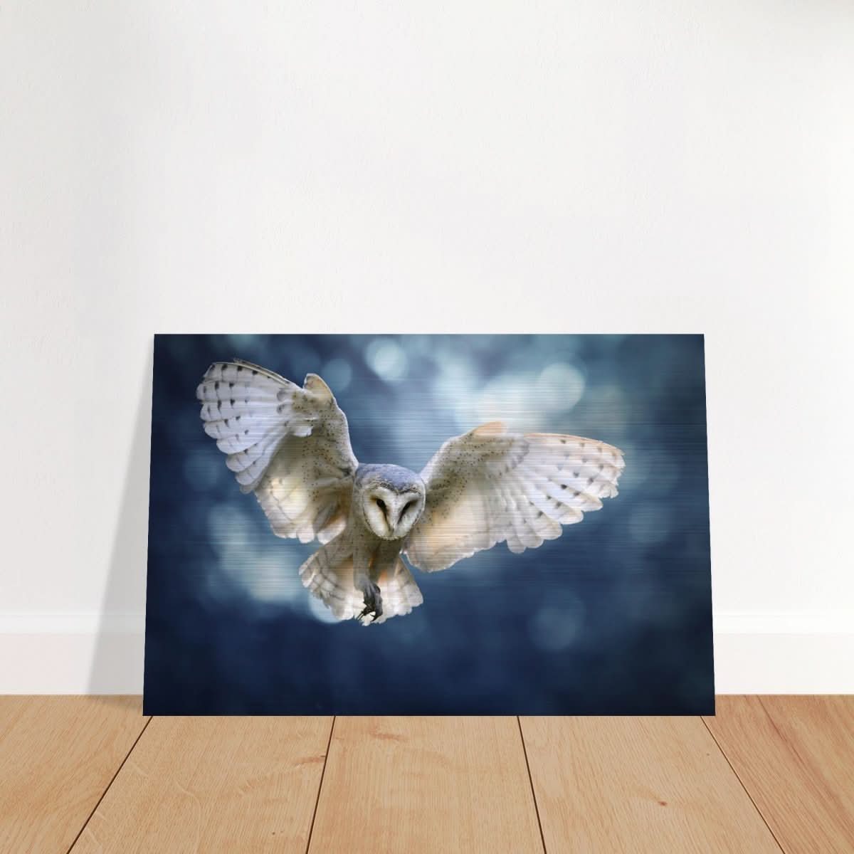 Animal Kingdom Wall art print collection | Owl - Brushed Aluminum Print - 50x75 cm / 20x30″ -