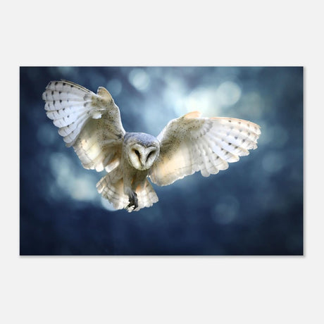 Animal Kingdom Wall art print collection | Owl - Aluminum Print - 50x75 cm / 20x30″ -