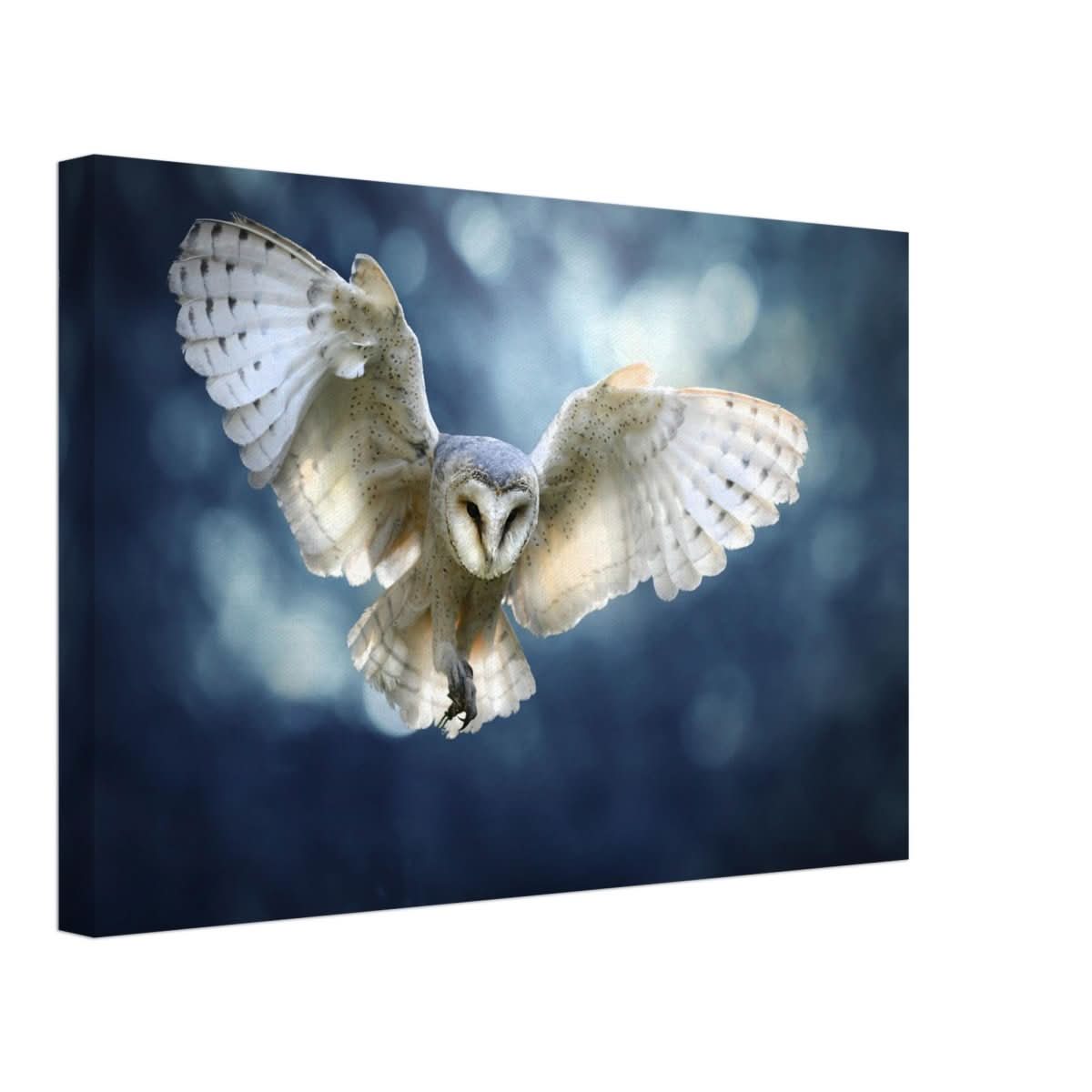 Animal Kingdom Wall art print collection | Owl - Canvas - 30x45 cm / 12x18″ -