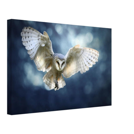 Animal Kingdom Wall art print collection | Owl - Canvas - 30x45 cm / 12x18″ -