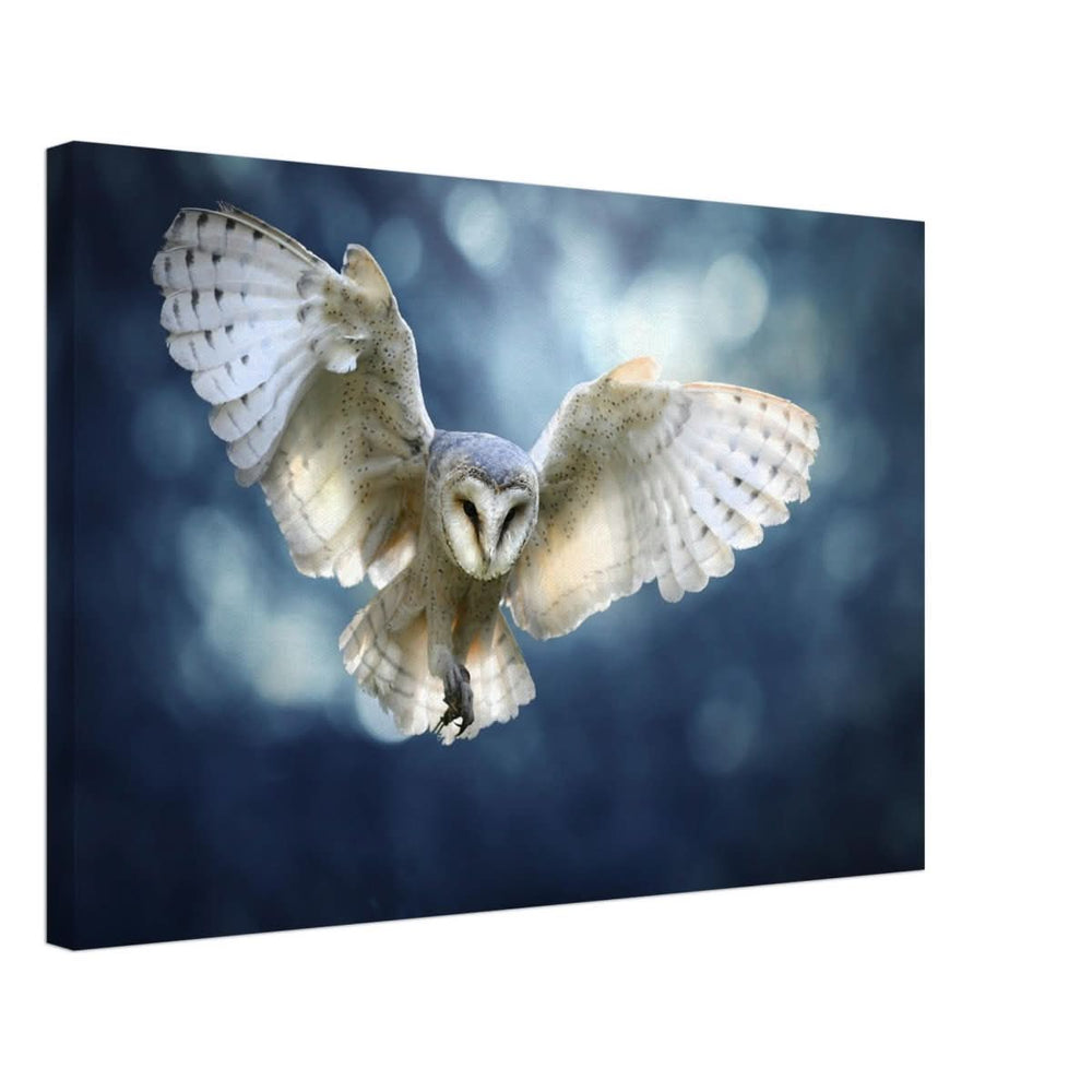 Animal Kingdom Wall art print collection | Owl - Canvas - 40x60 cm / 16x24″ -
