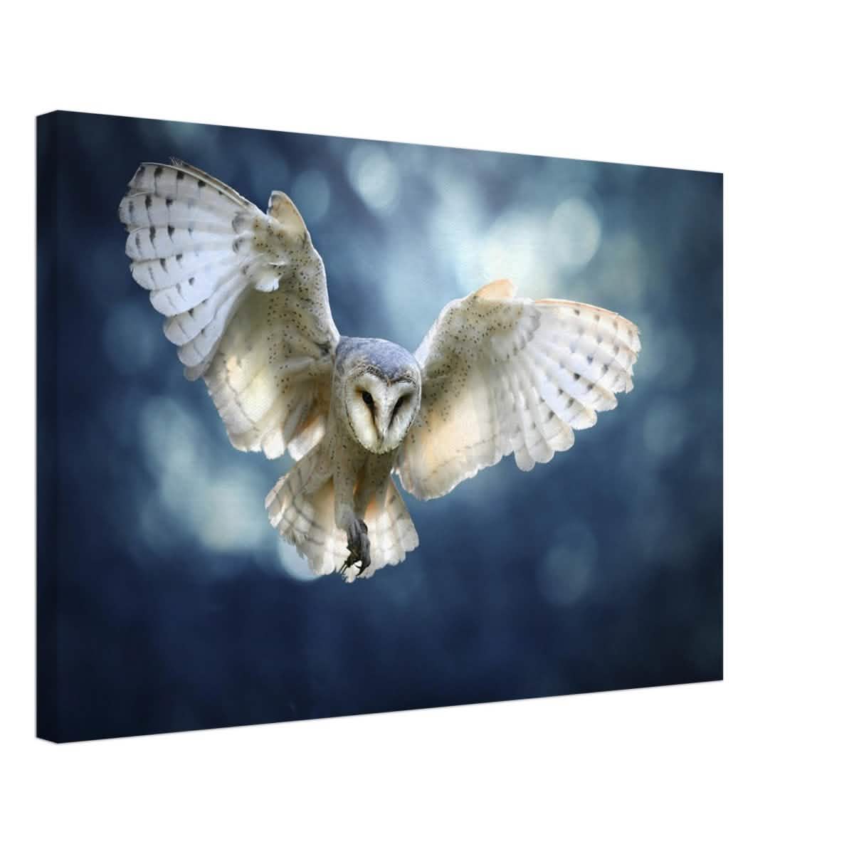 Animal Kingdom Wall art print collection | Owl - Canvas - 40x60 cm / 16x24″ -