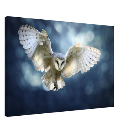 Animal Kingdom Wall art print collection | Owl - Canvas - 50x75 cm / 20x30″ -