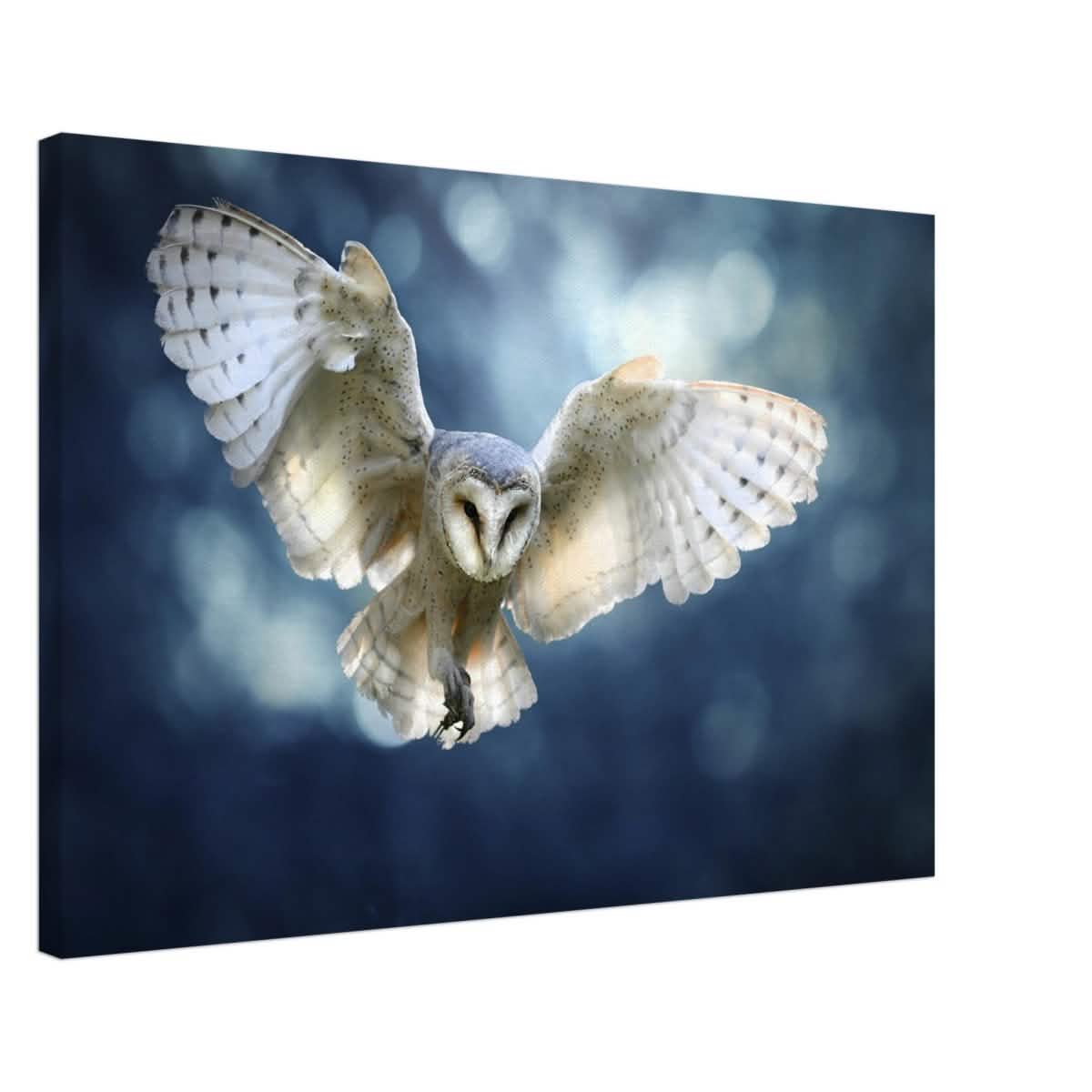 Animal Kingdom Wall art print collection | Owl - Canvas - 50x75 cm / 20x30″ -