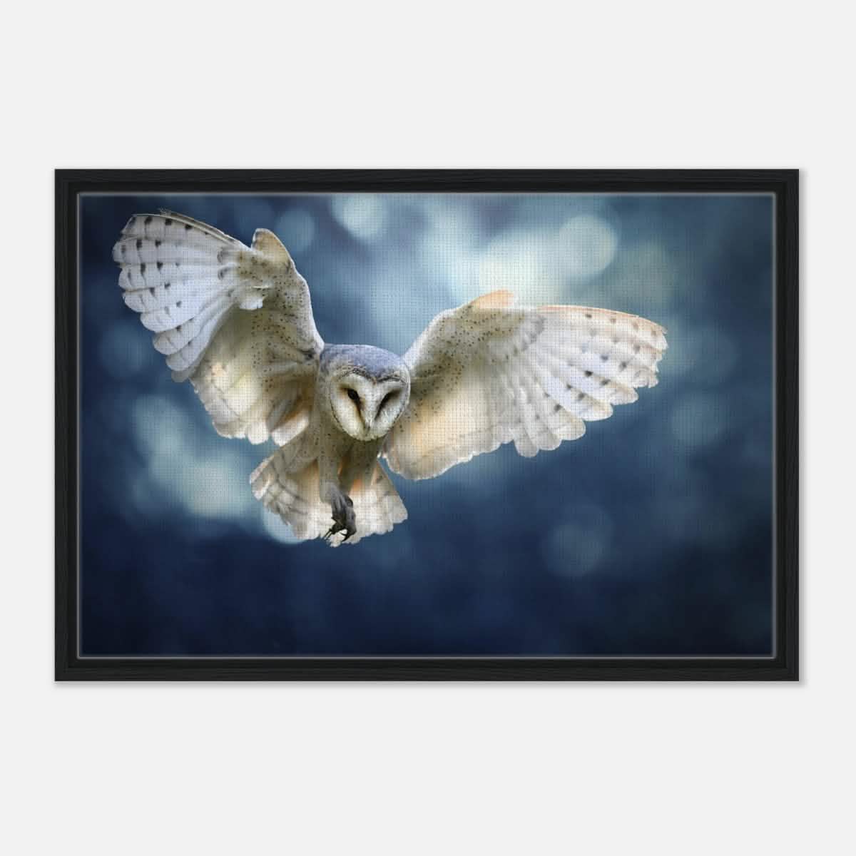 Animal Kingdom Wall art print collection | Owl - Framed Canvas - 50x75 cm / 20x30″ - Black frame