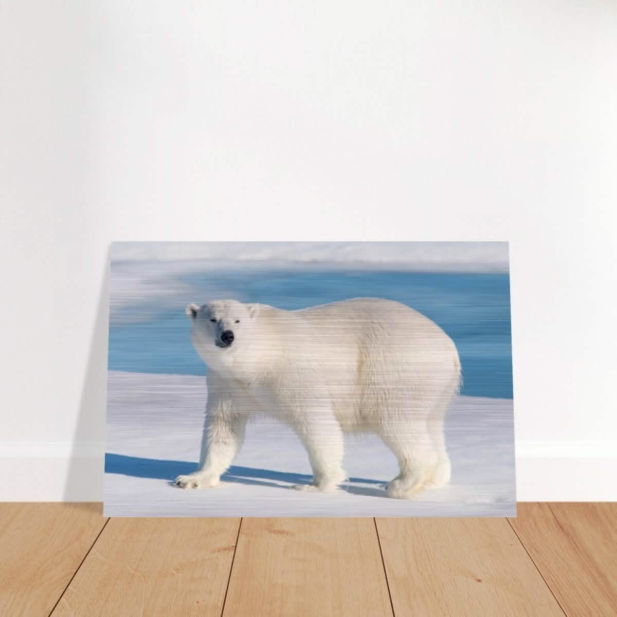 Animal Kingdom Wall art print collection | Polar bear - Brushed Aluminum Print - 60x90 cm / 24x36″ -