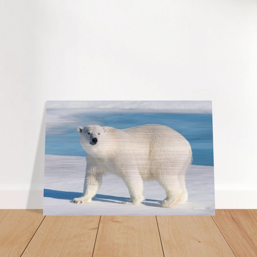 Animal Kingdom Wall art print collection | Polar bear - Brushed Aluminum Print - 60x90 cm / 24x36″ -