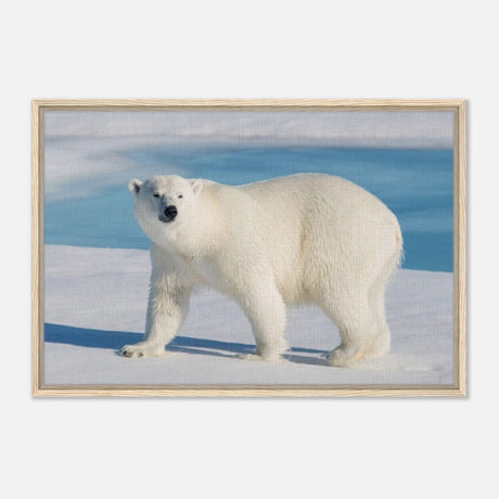 Animal Kingdom Wall art print collection | Polar bear - Framed Canvas - 60x90 cm / 24x36″ - Wood frame