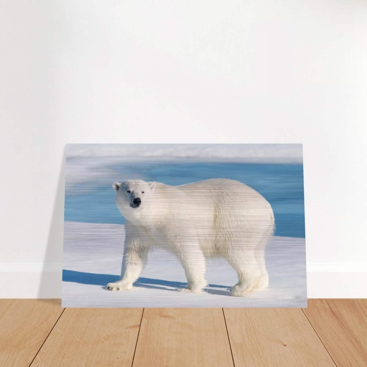 Animal Kingdom Wall art print collection | Polar bear - Brushed Aluminum Print - 50x75 cm / 20x30″ -
