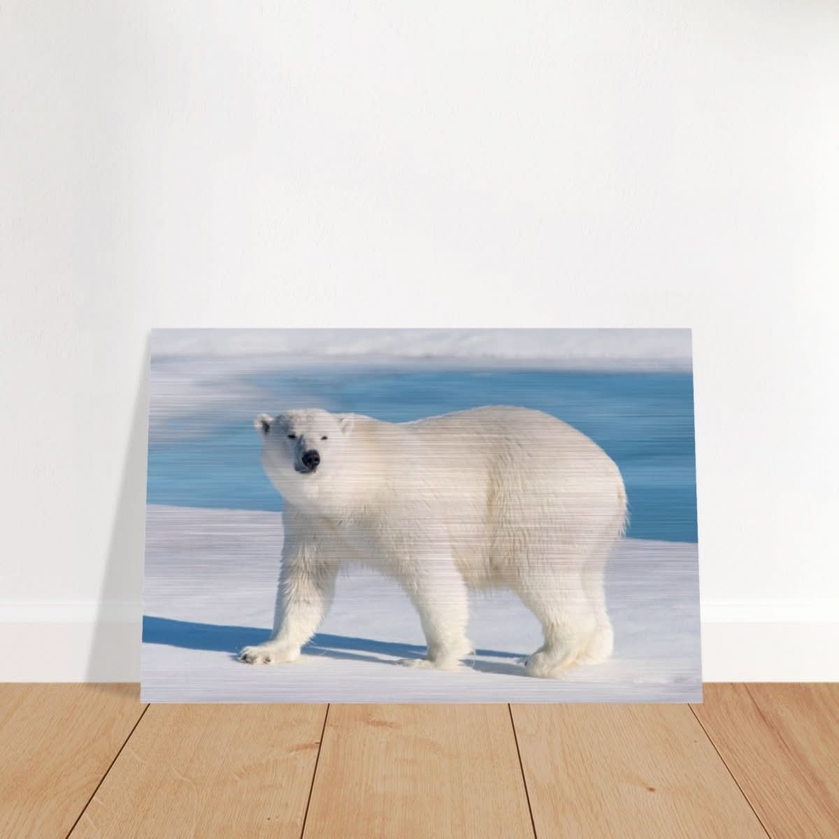 Animal Kingdom Wall art print collection | Polar bear - Brushed Aluminum Print - 30x45 cm / 12x18″ -
