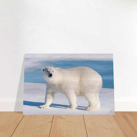 Animal Kingdom Wall art print collection | Polar bear - Brushed Aluminum Print - 30x45 cm / 12x18″ -