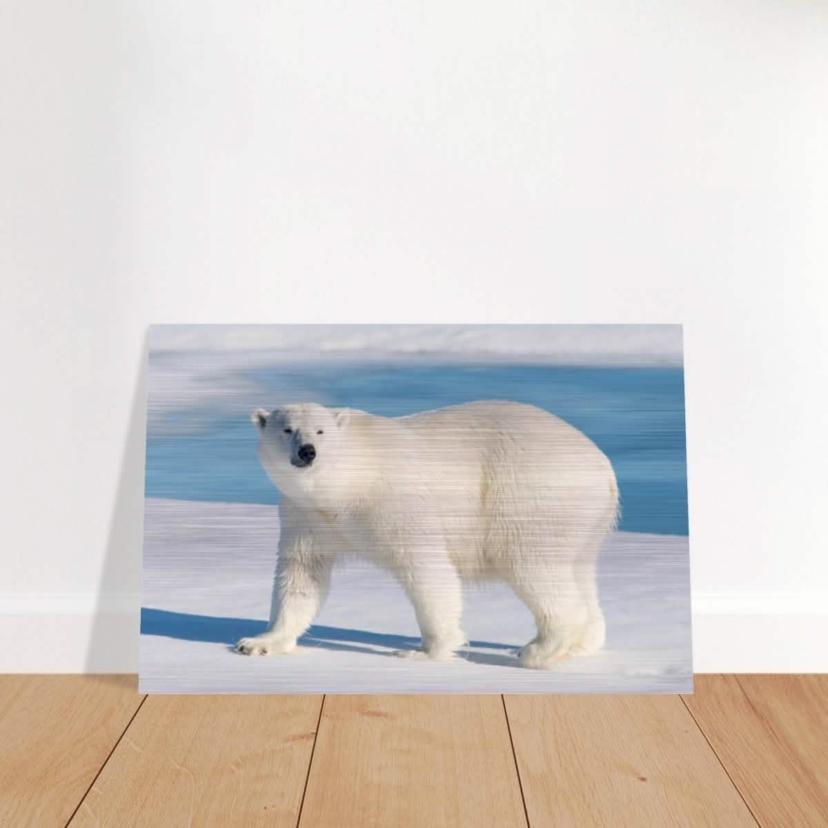 Animal Kingdom Wall art print collection | Polar bear - Brushed Aluminum Print - 30x45 cm / 12x18″ -