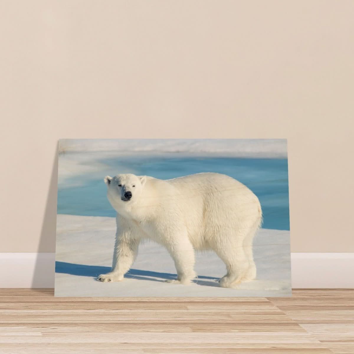 Animal Kingdom Wall art print collection | Polar bear - Wood Prints - 30x45 cm / 12x18″ -