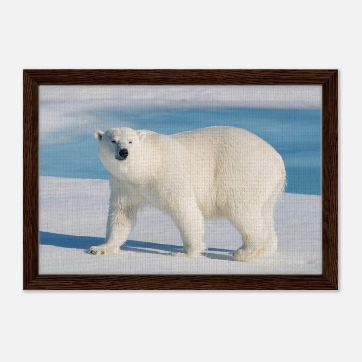 Animal Kingdom Wall art print collection | Polar bear - Framed Canvas - 30x45 cm / 12x18″ - Dark wood frame